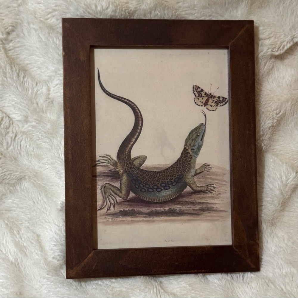 Framed Reptile Art Print with Butterfly - Brown Frame
